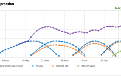 Moving Beyond PGR GDD Intervals